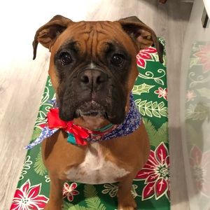 Meet your Posher, Noellen